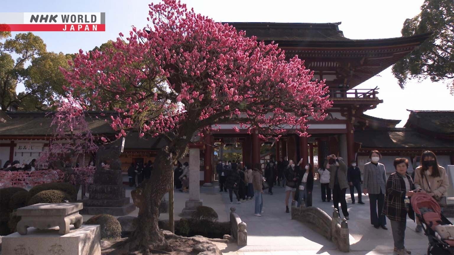 Faith in Tenjin - Prayers from across Japan