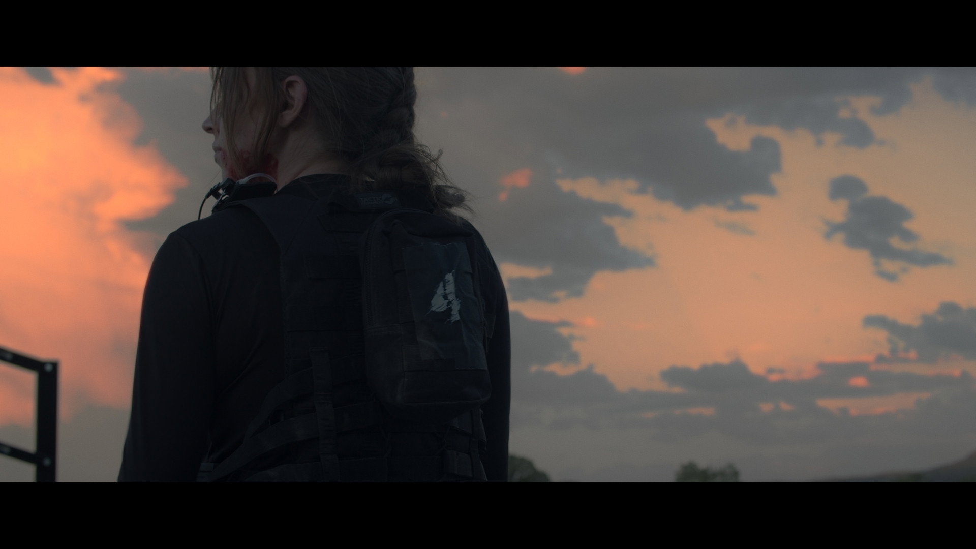 Director