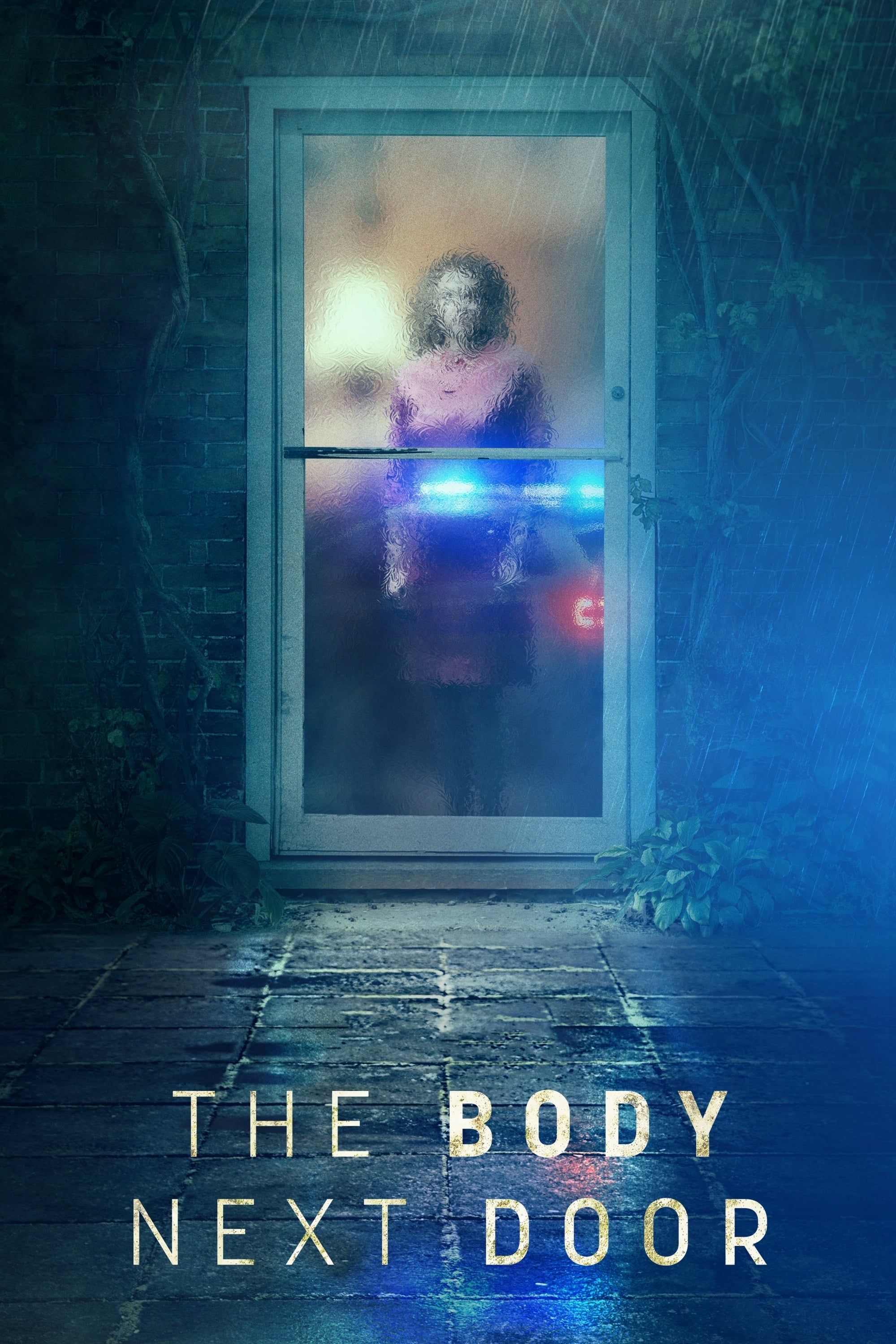 Poster de The Body Next Door