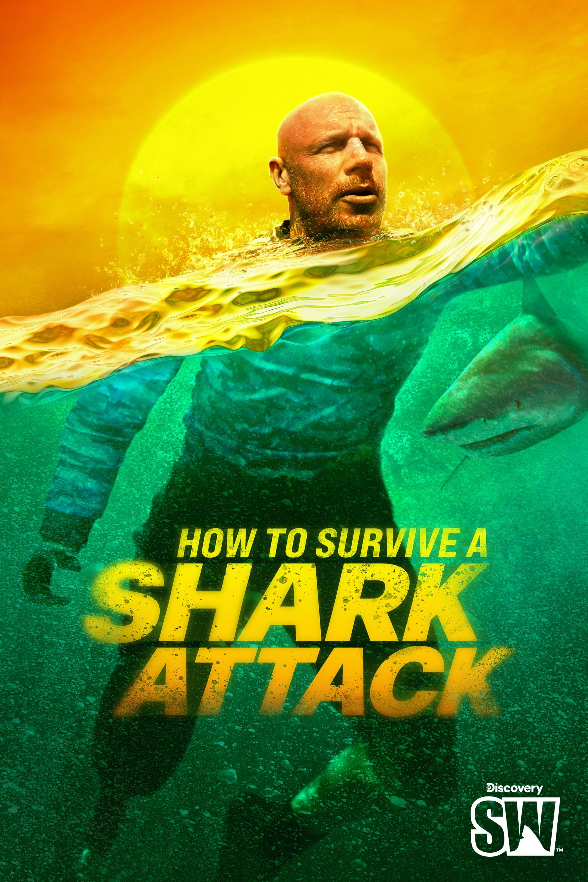 Poster de How To Survive A Shark Attack