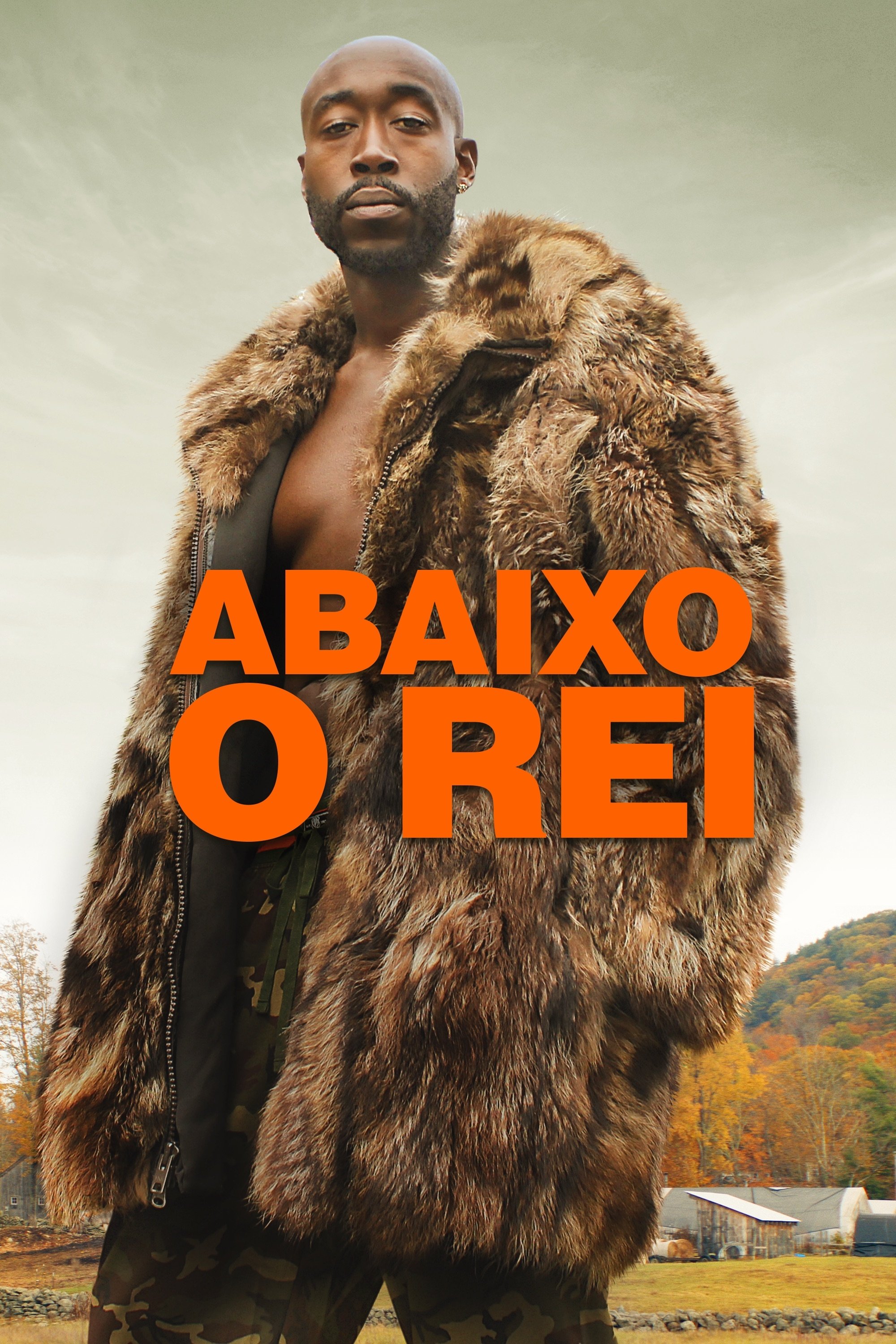 Poster de Abaixo o Rei