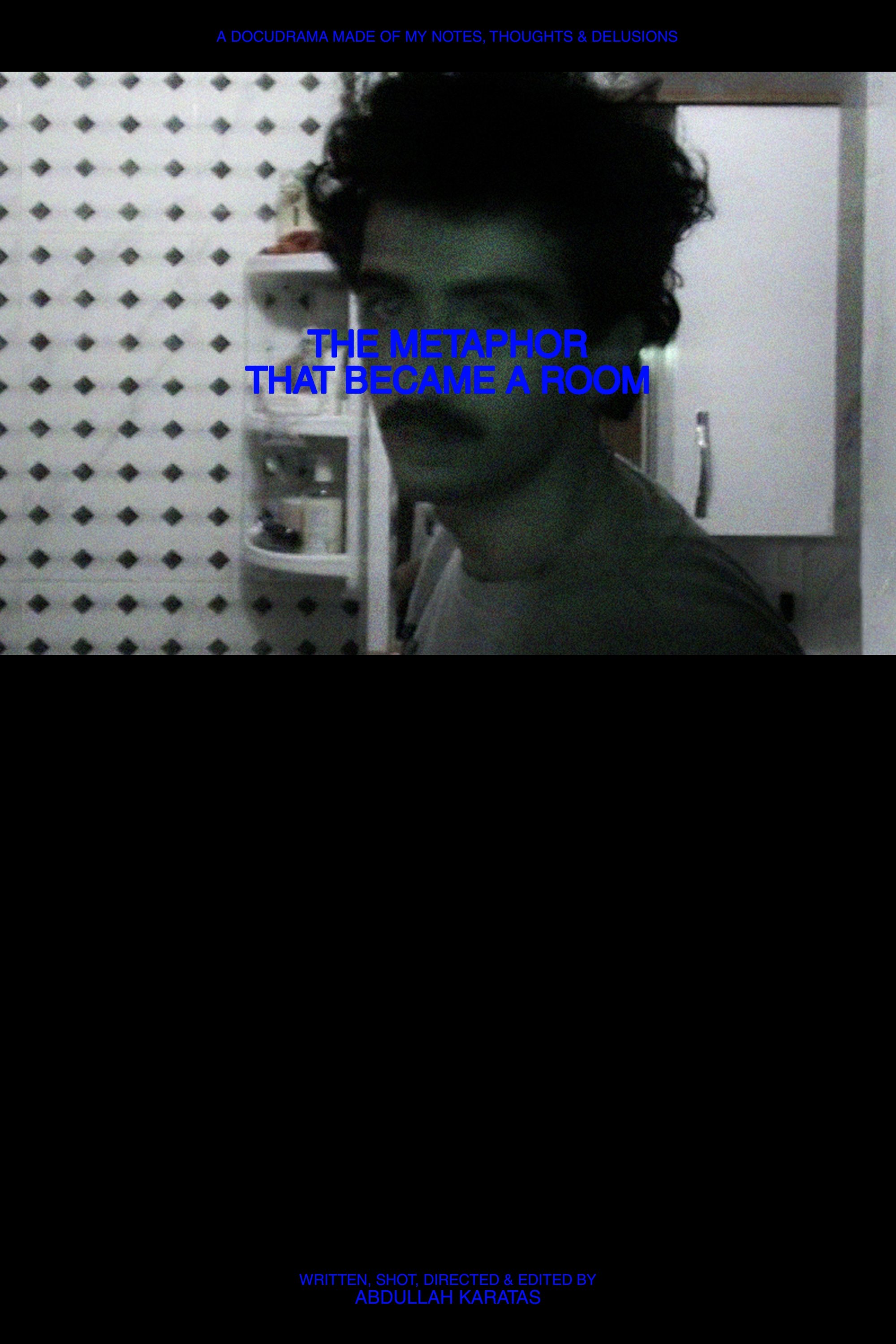 Poster de The Metaphor That Became a Room