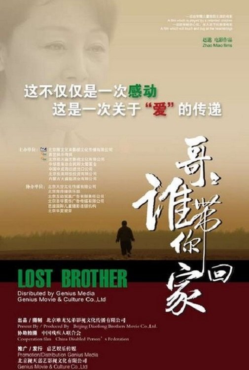 Poster de 哥哥,谁带你回家