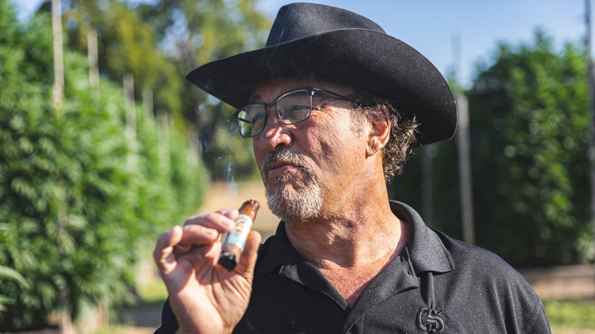 Burning Down the House