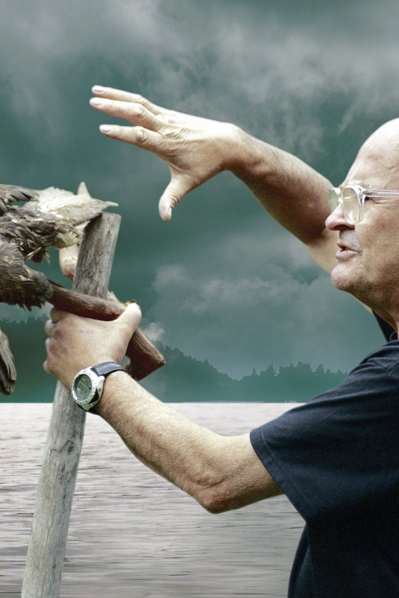 Poster de Ei kukaan ole saari