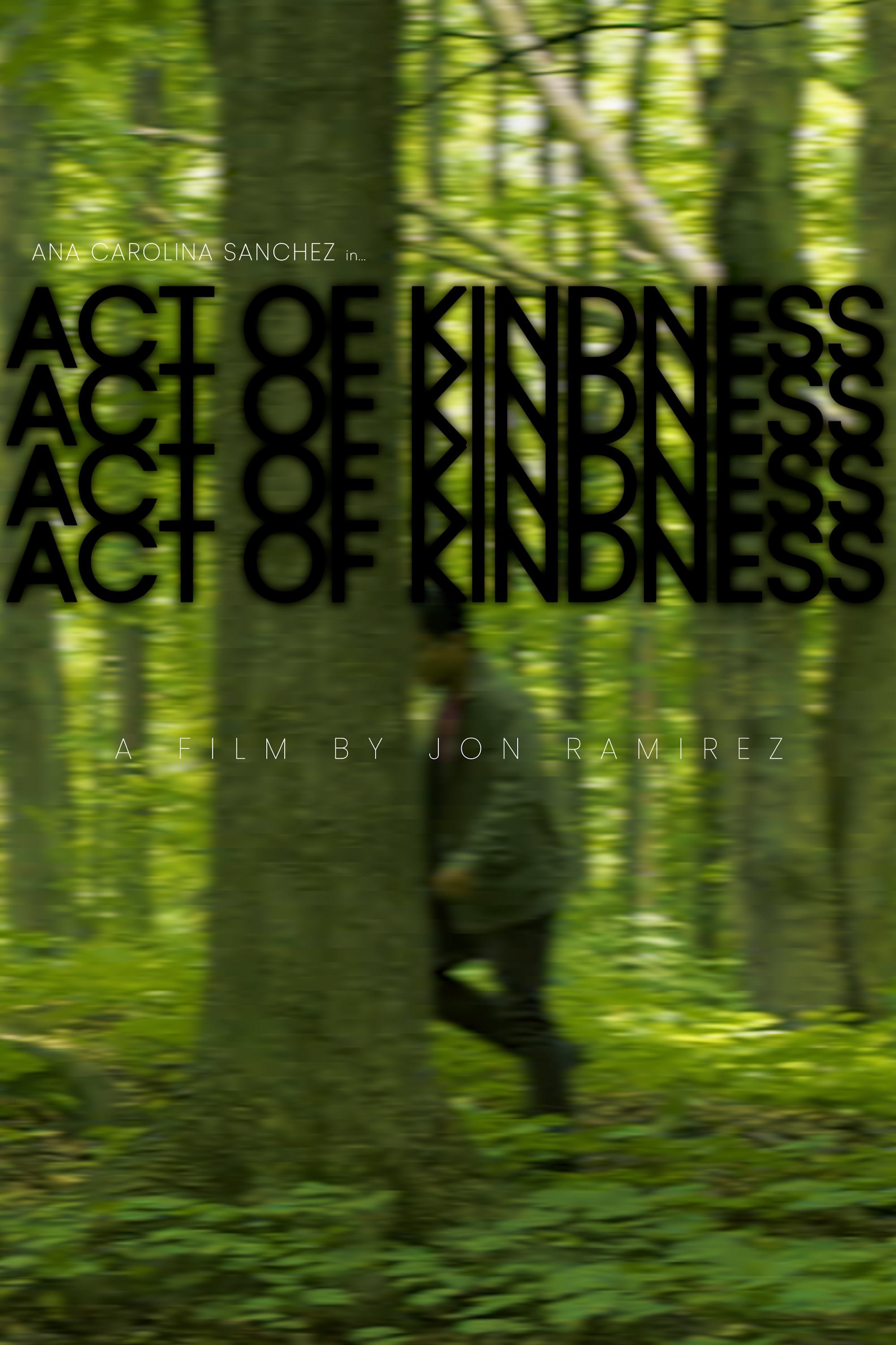 Poster de Act of Kindness