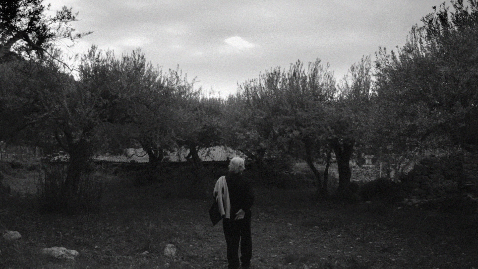 Director