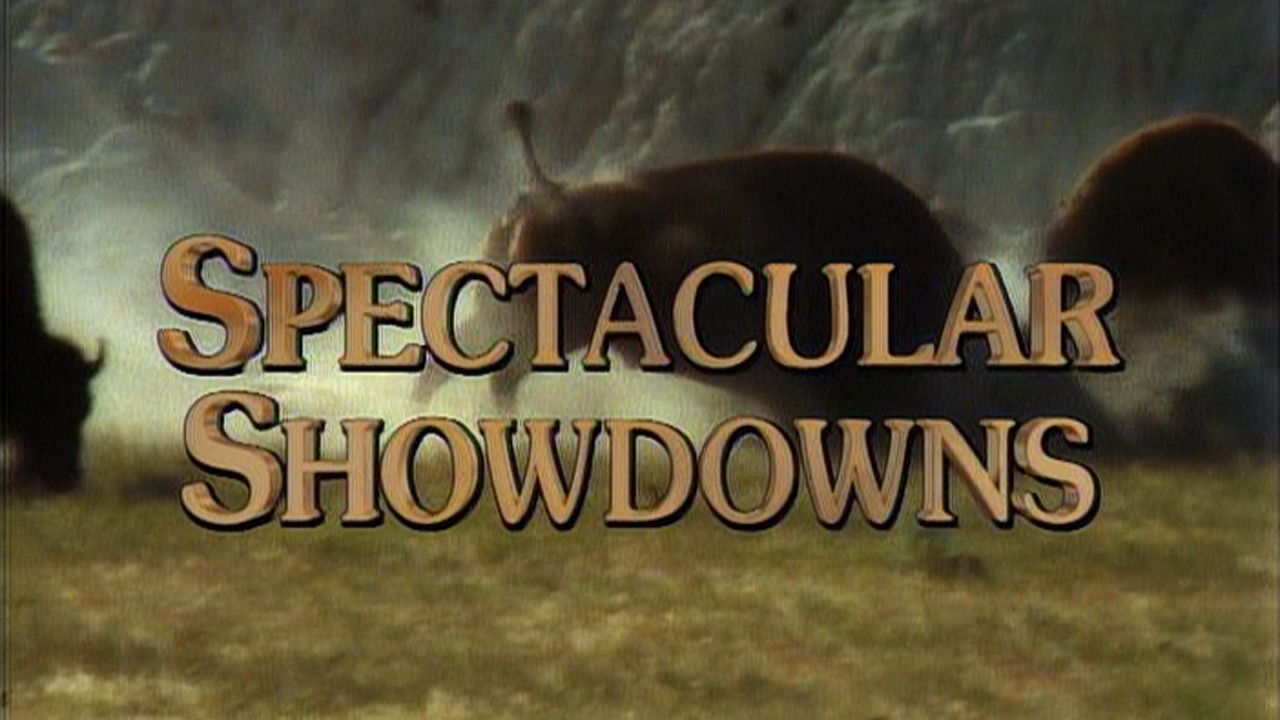 Spectacular Showdowns