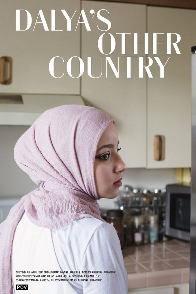 Poster de Dalya's Other Country