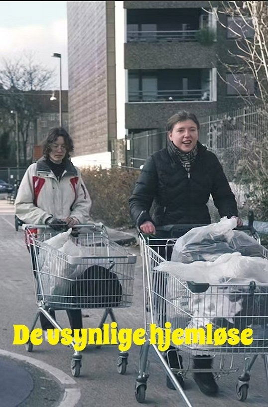 Poster de De usynlige hjemløse