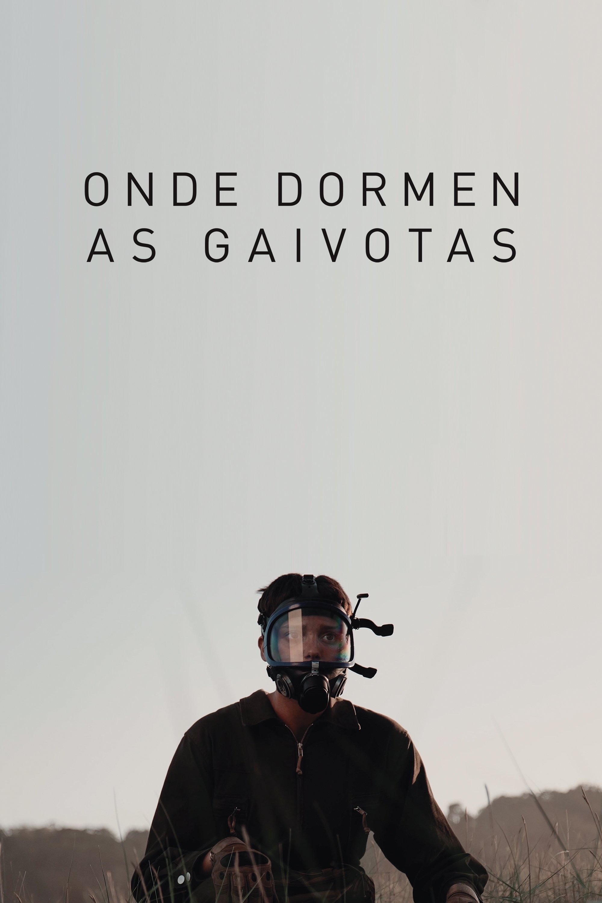 Poster de Onde dormen as gaivotas