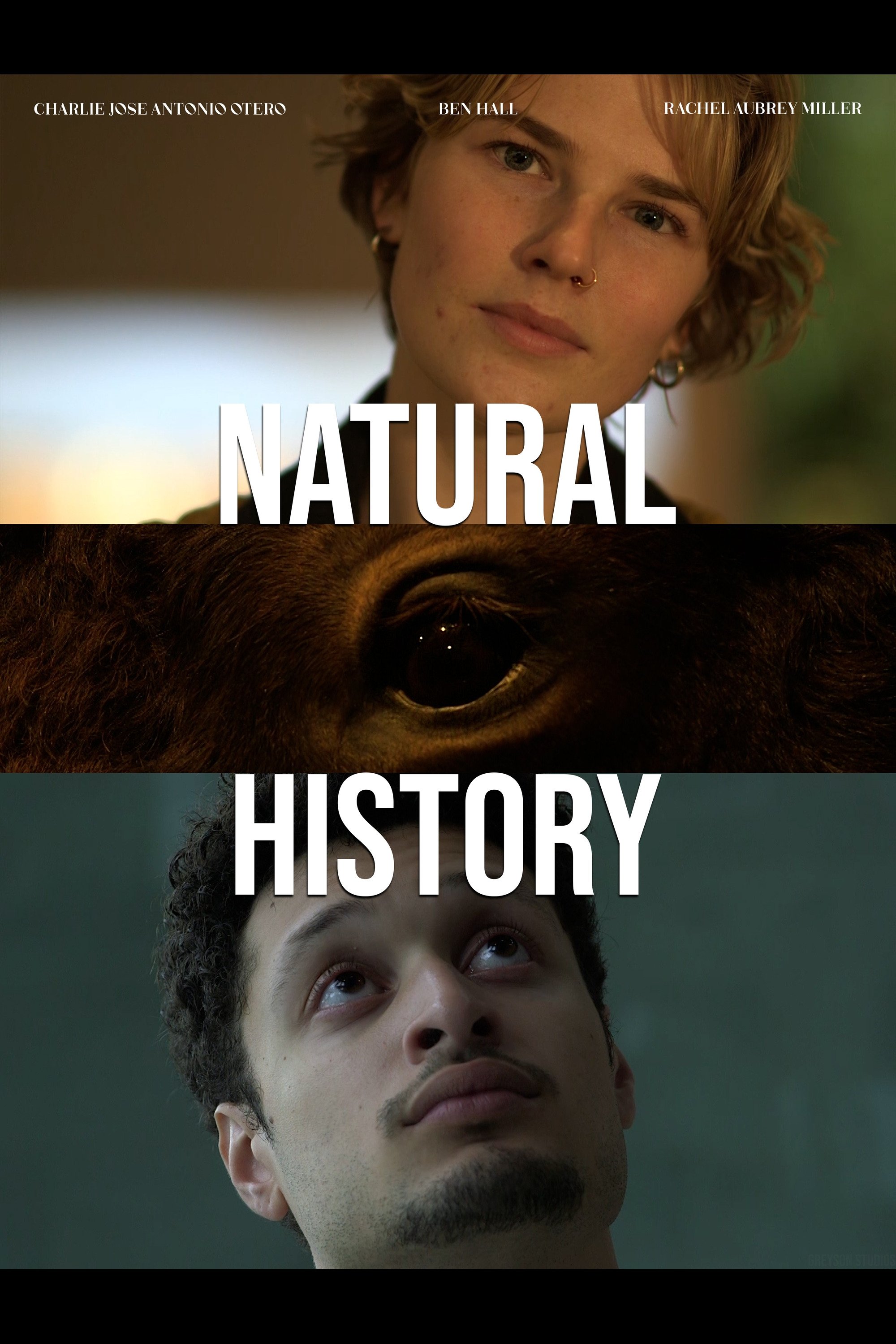 Poster de Natural History