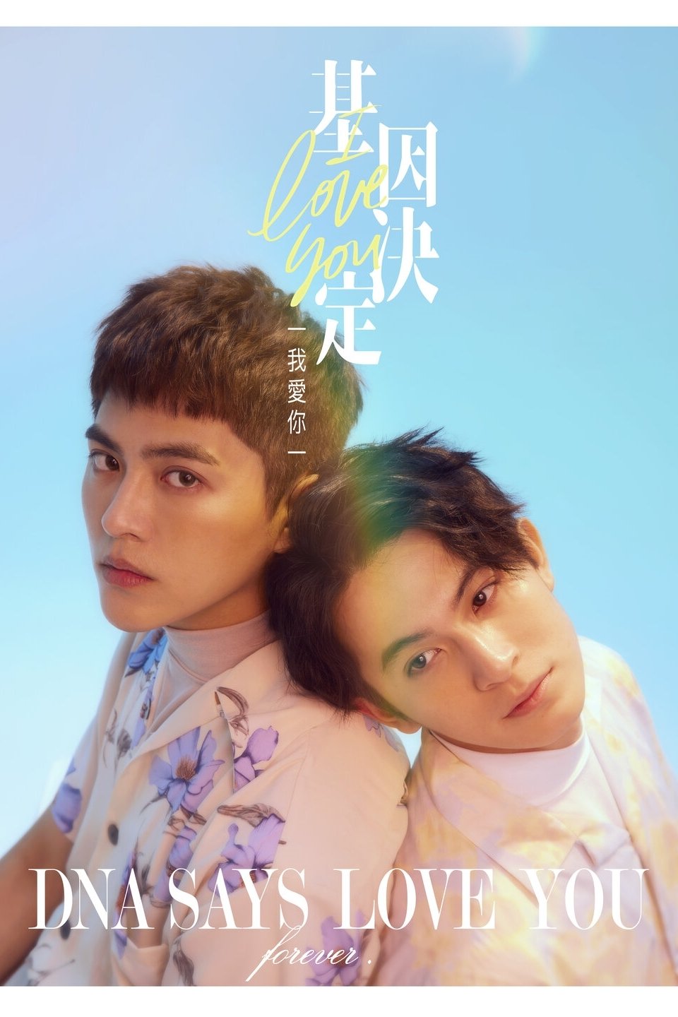 Poster de O DNA Diz Te Amo