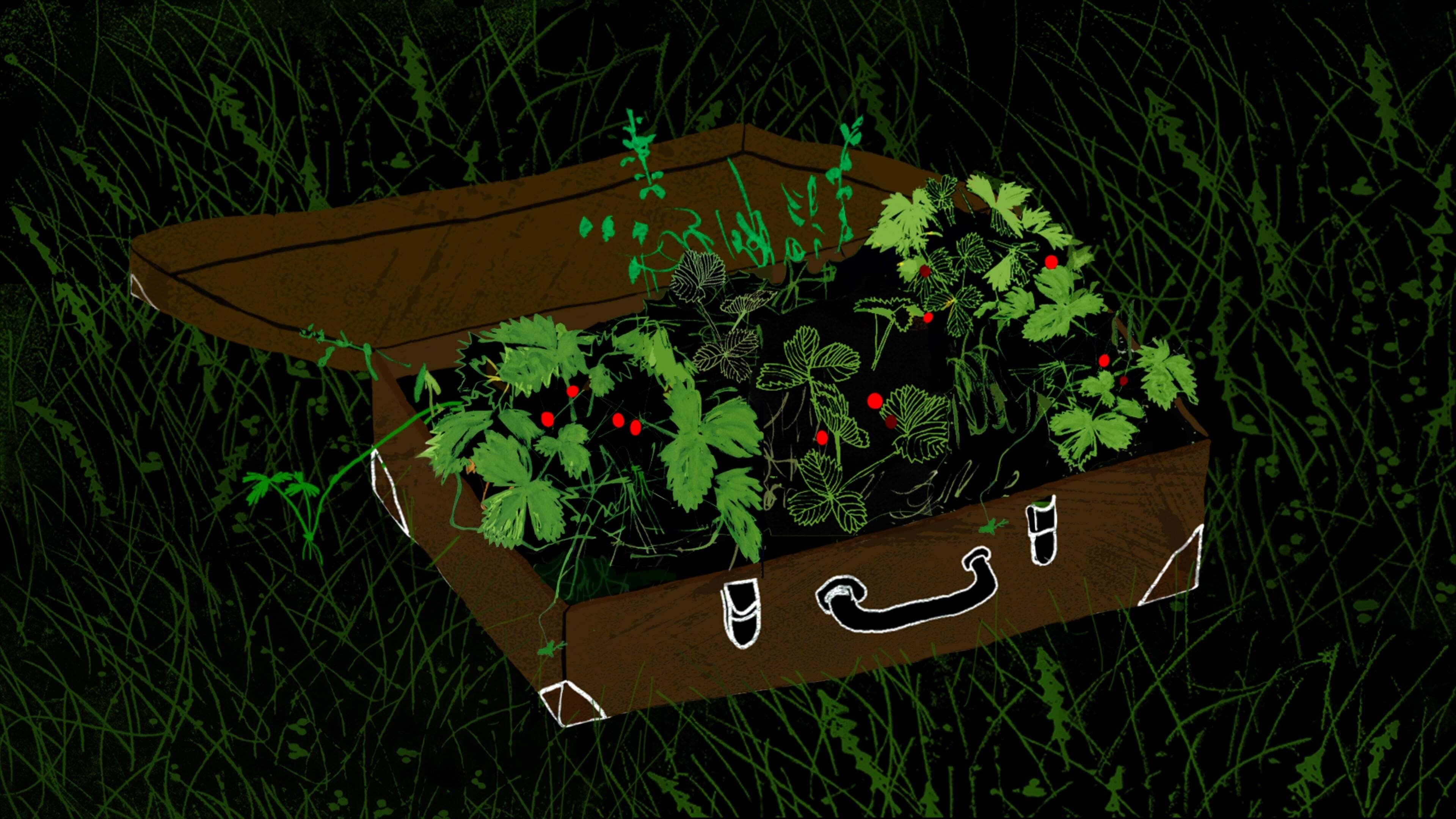 Backdrop image