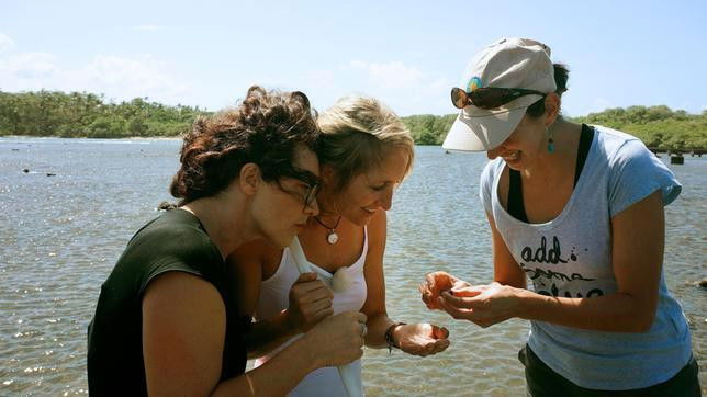 Palpitations in Panama