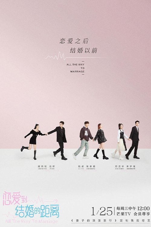 Poster de 恋爱到结婚的距离