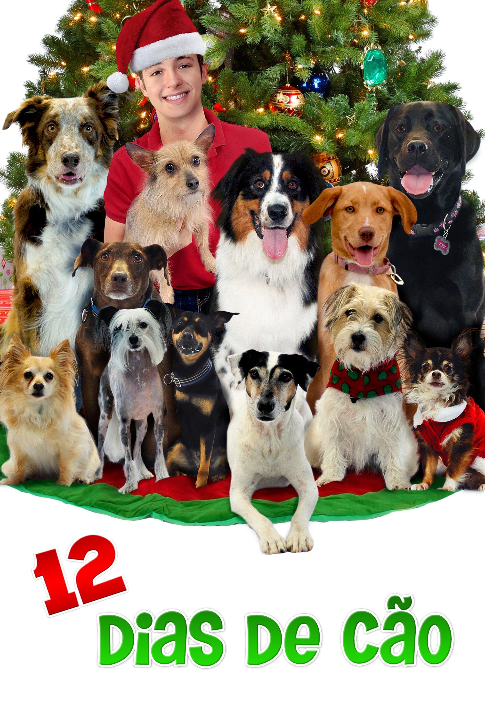Poster de 12 Dias de Cão