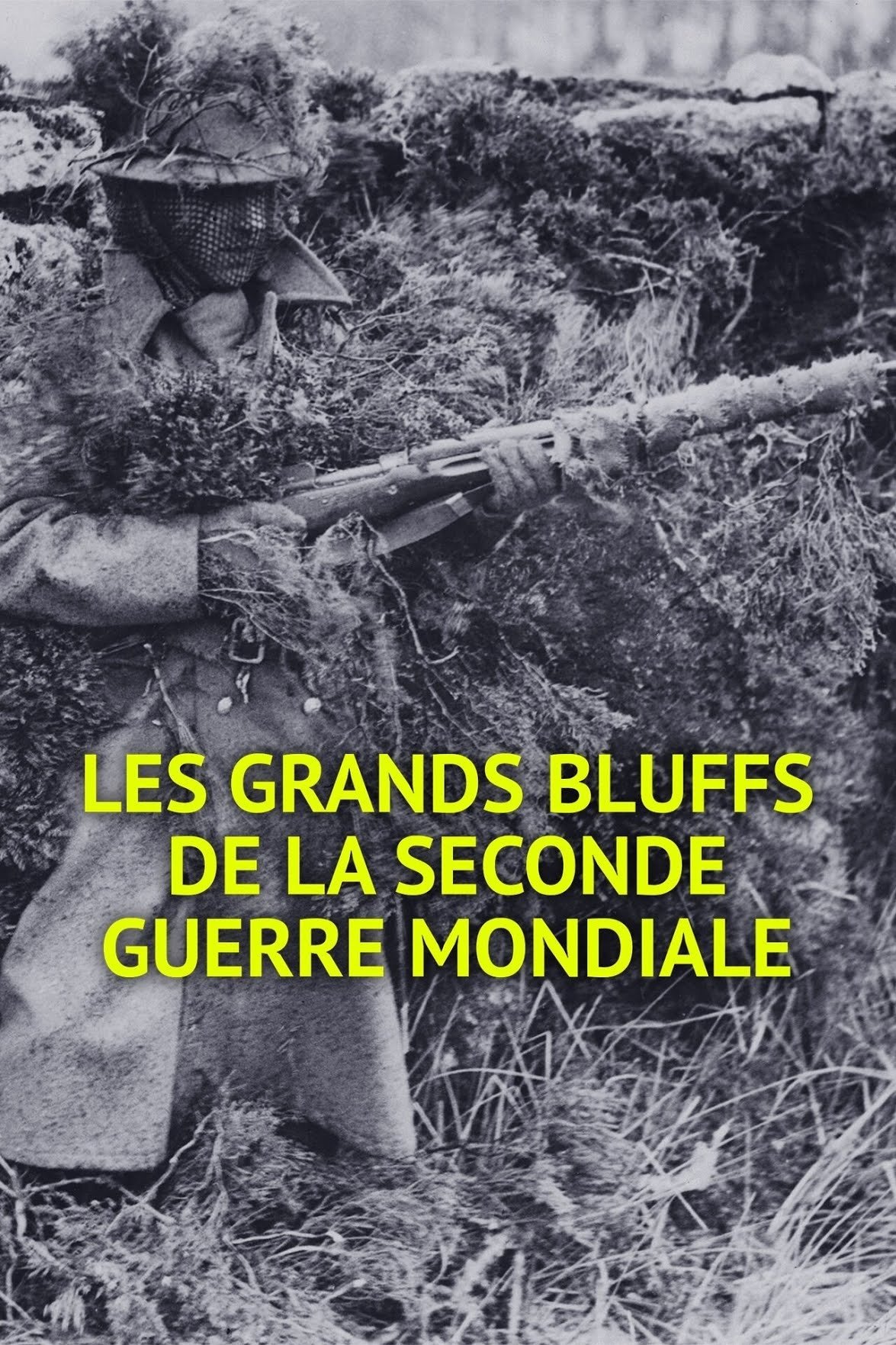 Poster de The Great Bluffs of World War II