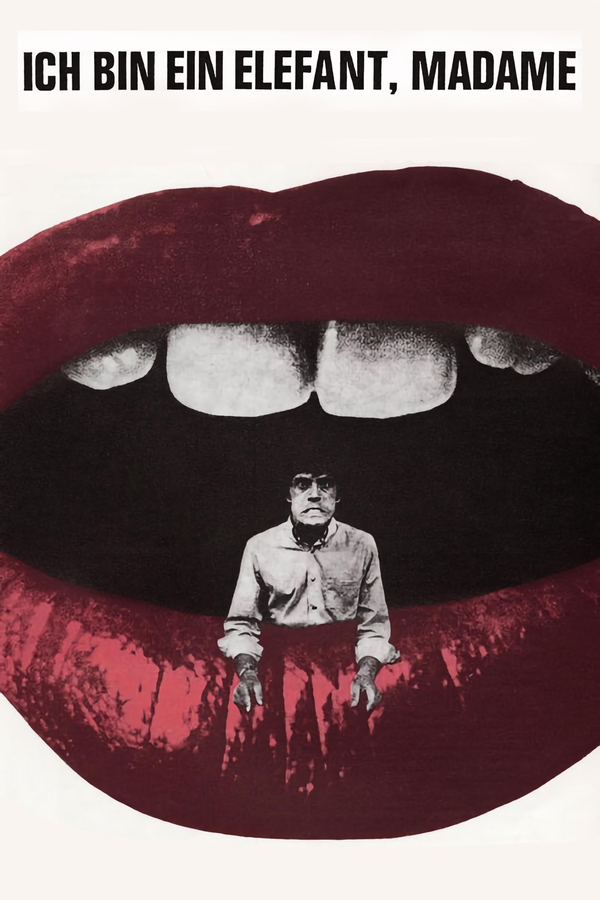 Affiche du film Ich bin ein Elefant, Madame