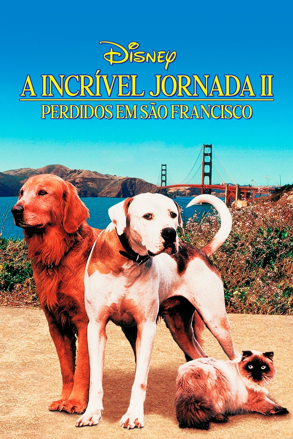 Poster de A Incrível Jornada II: Perdidos em São Francisco