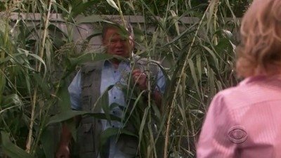 Corn Star