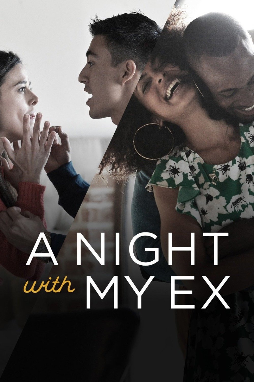 Poster de A Night with My Ex
