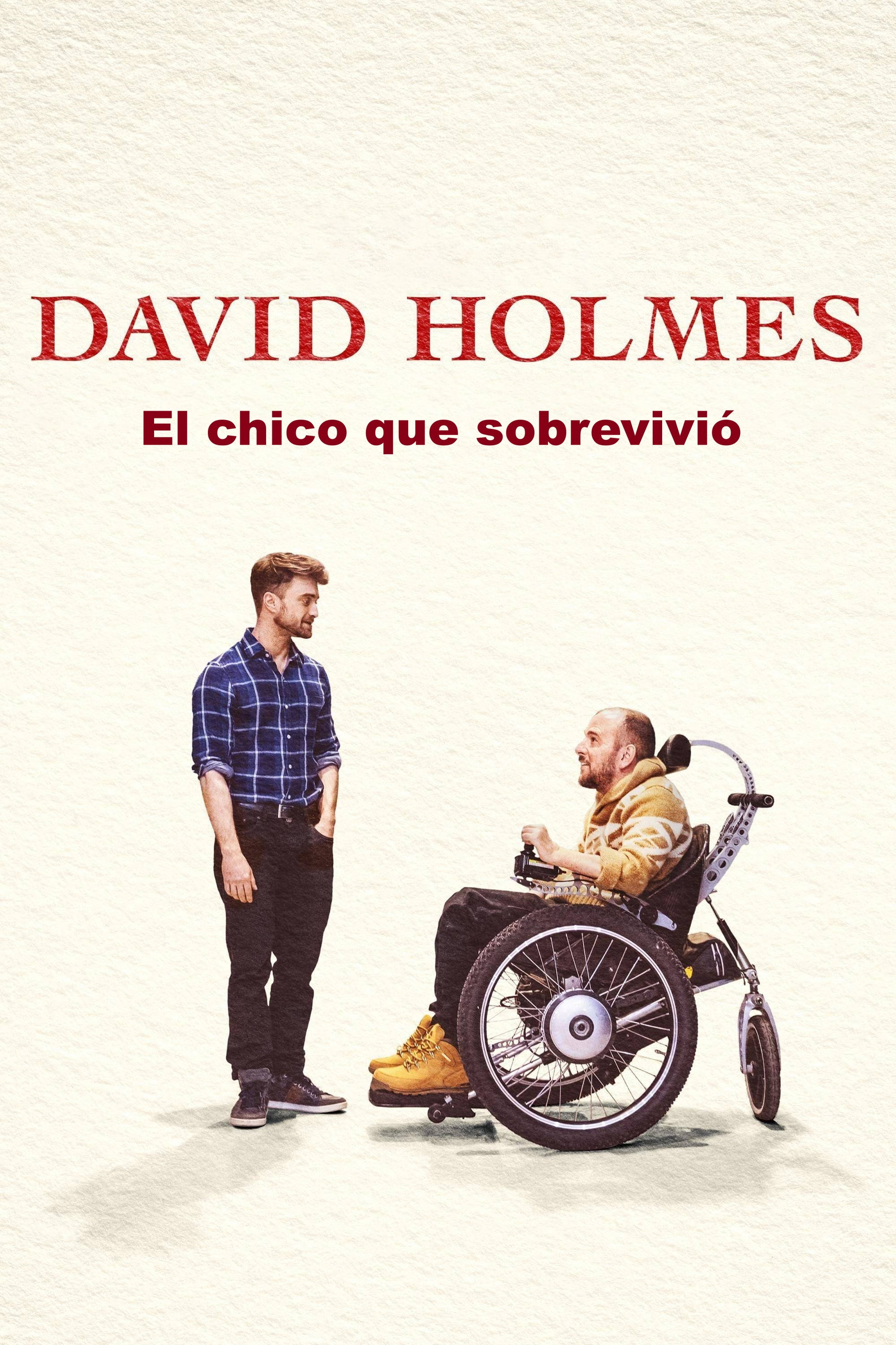 David Holmes: The Boy Who Lived poster