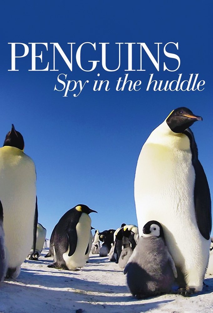 Poster de Penguins: Spy in the Huddle