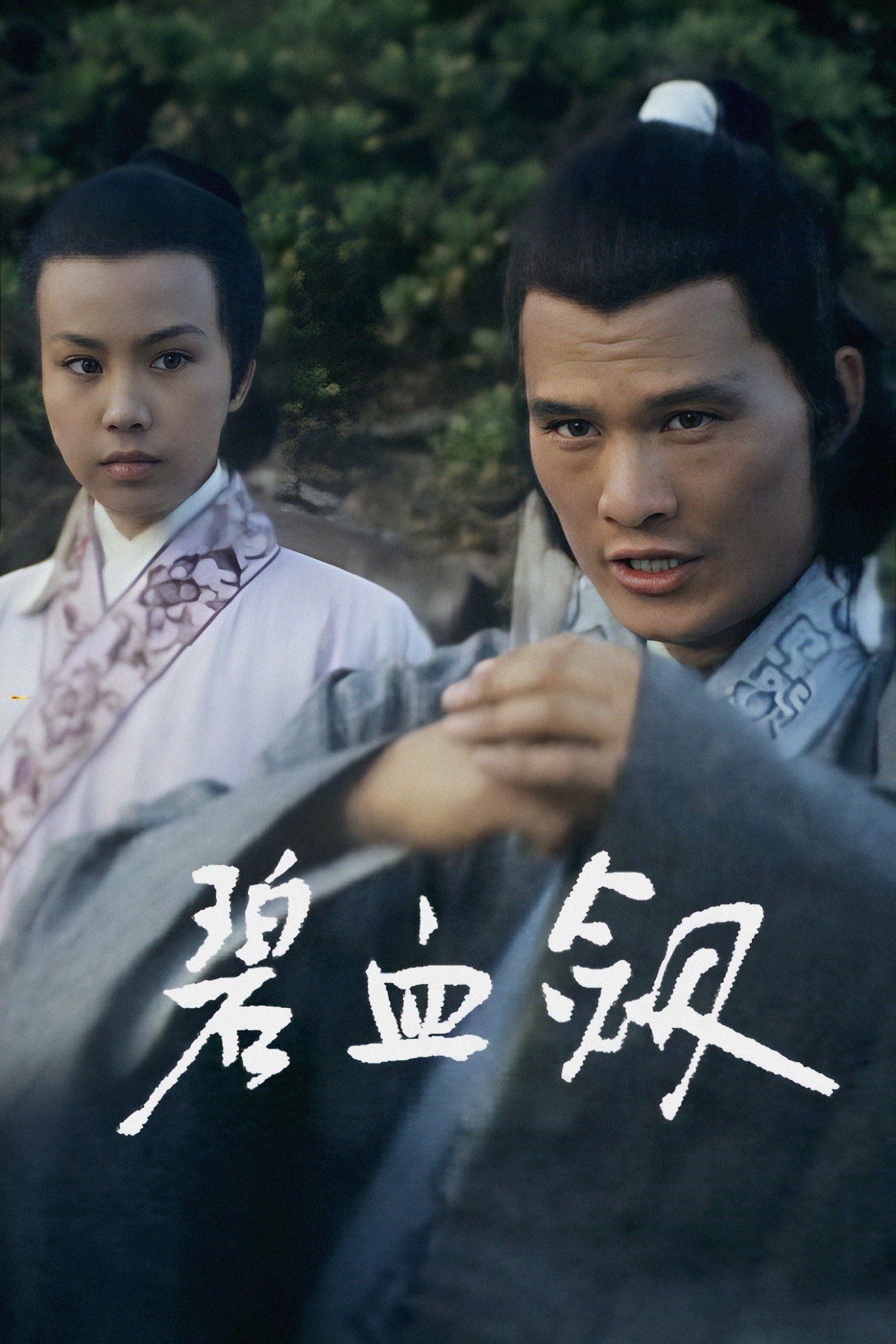 Poster de 碧血劍