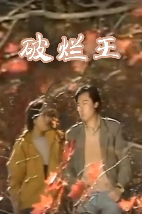 Poster de 破烂王