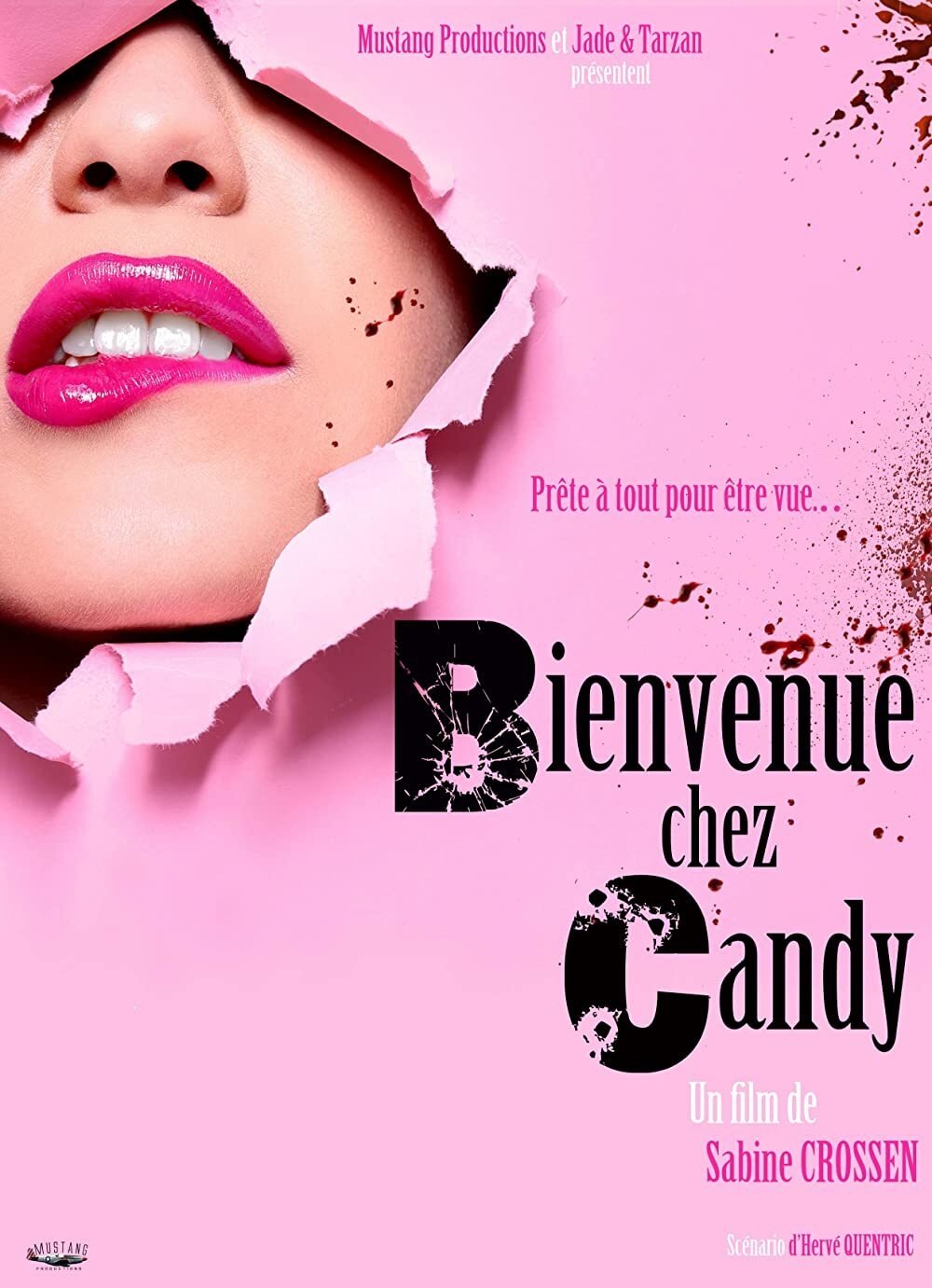 Affiche du film Bienvenue chez Candy