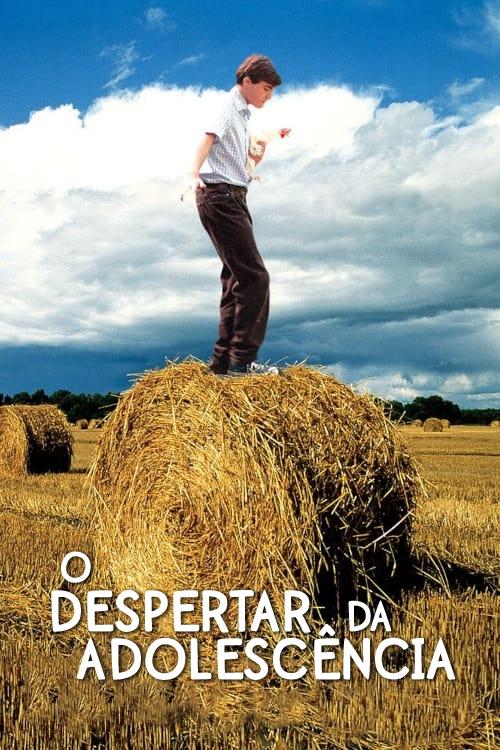 Poster de O Despertar da Adolescência
