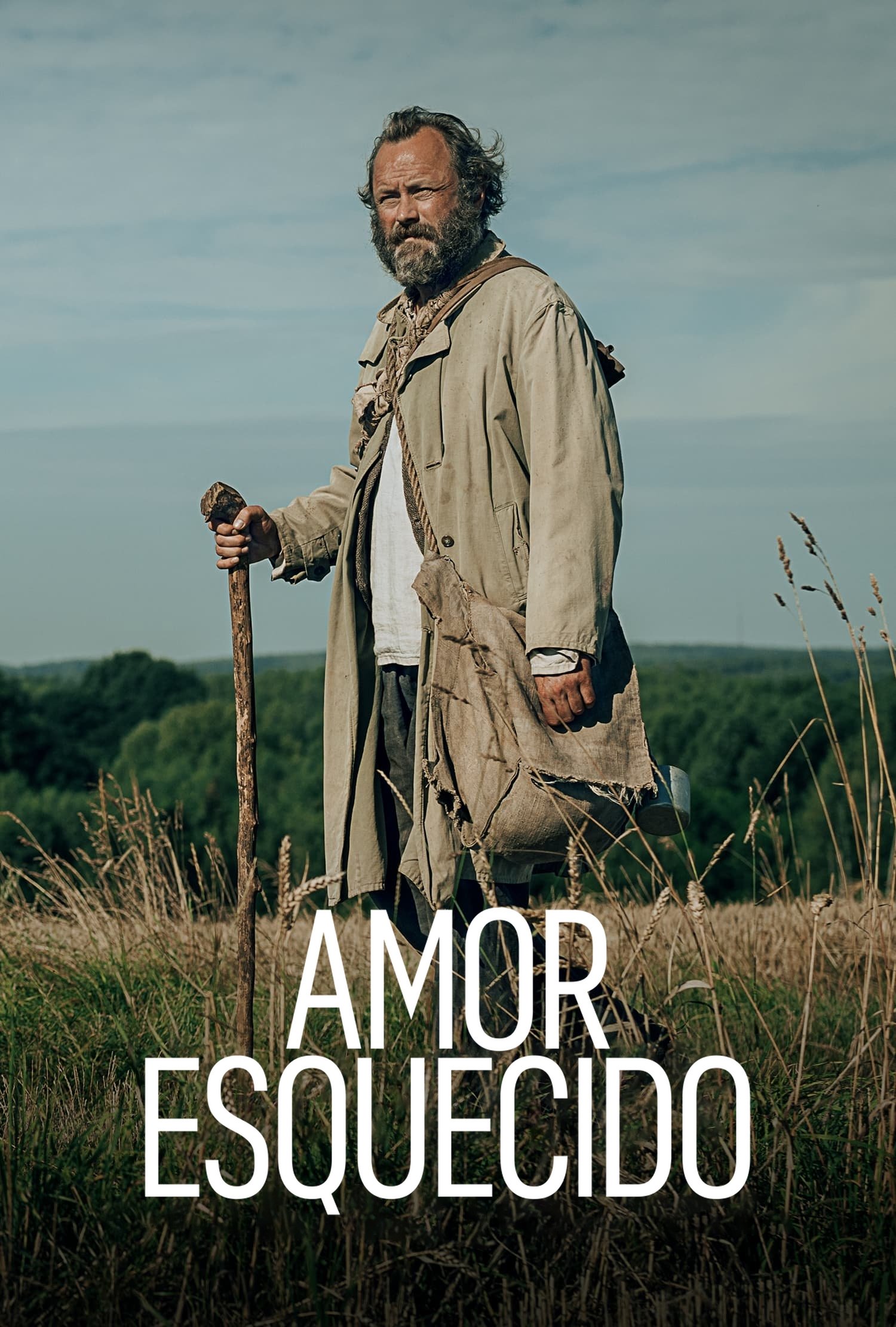 Poster de Amor Esquecido