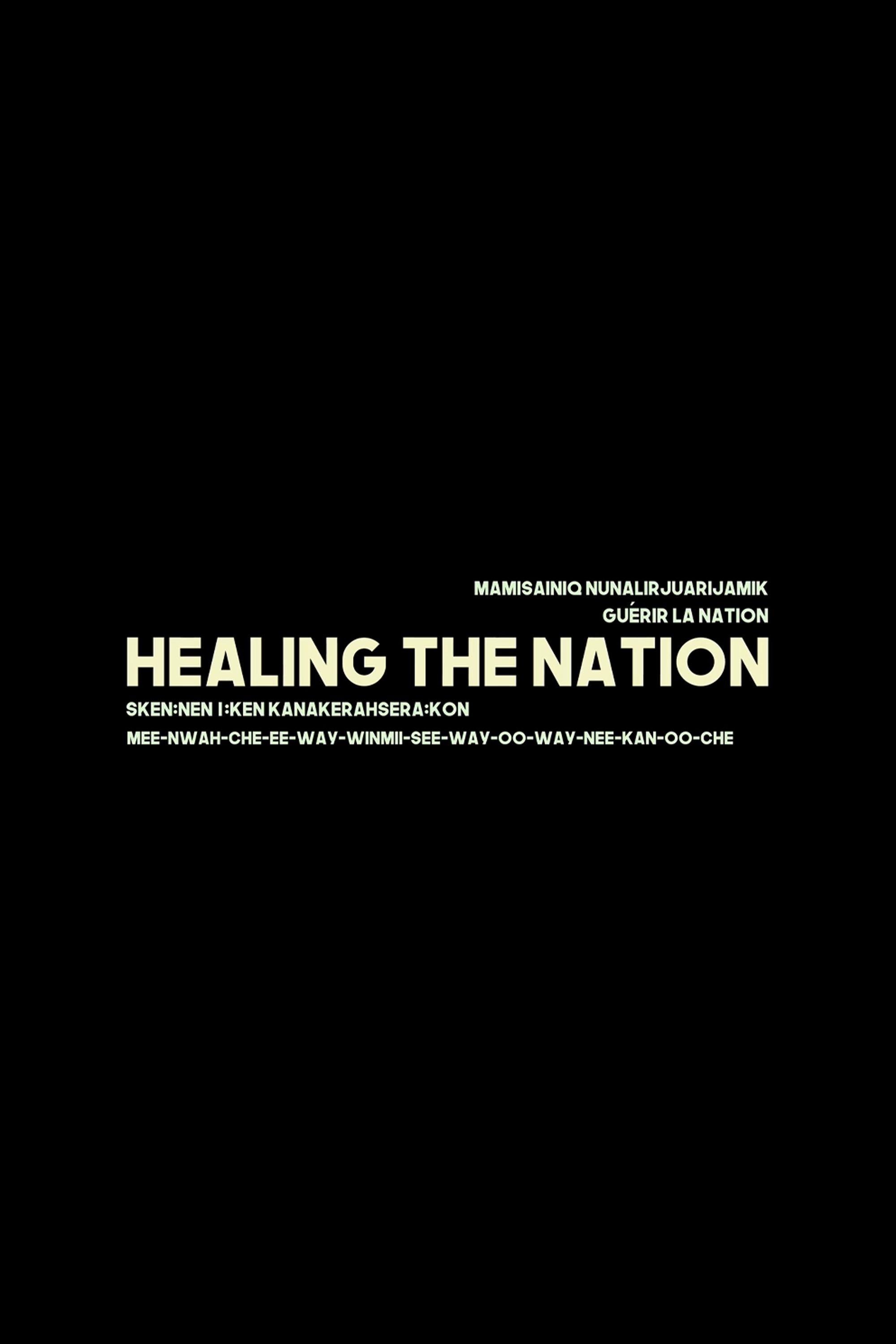 Poster de Healing the nation