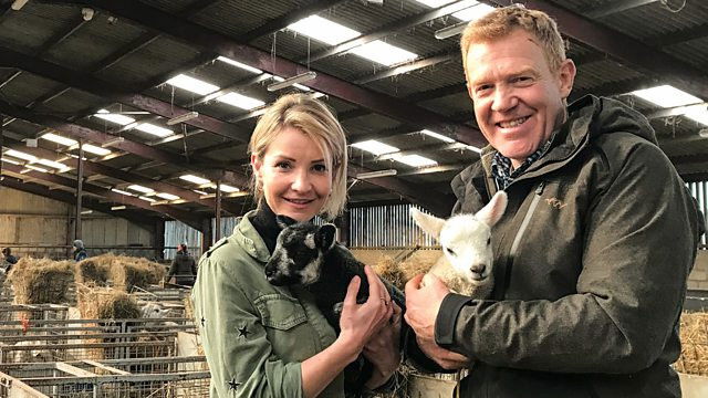 24 Hours in the Lambing Shed