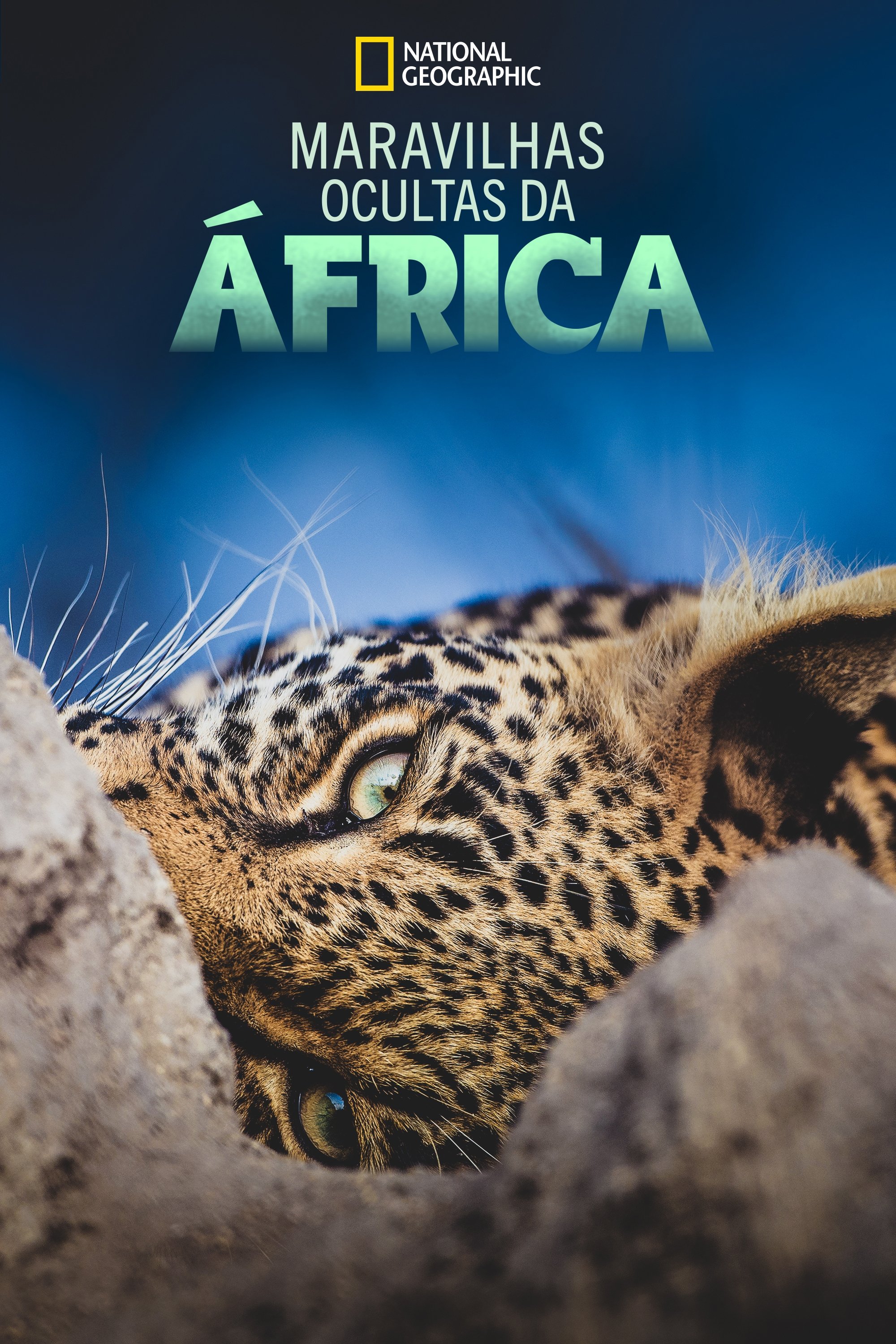 Poster de Maravilhas Ocultas da África