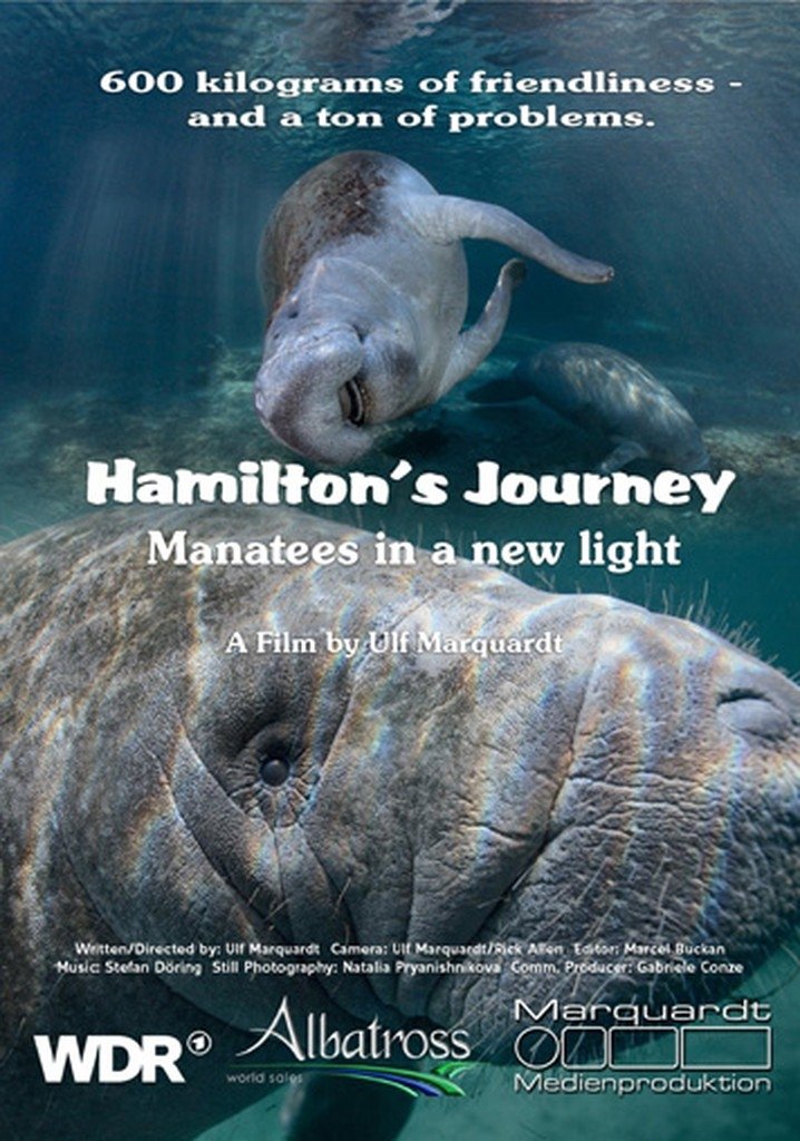 Poster de Hamilton's Journey - Manatees in a New Light