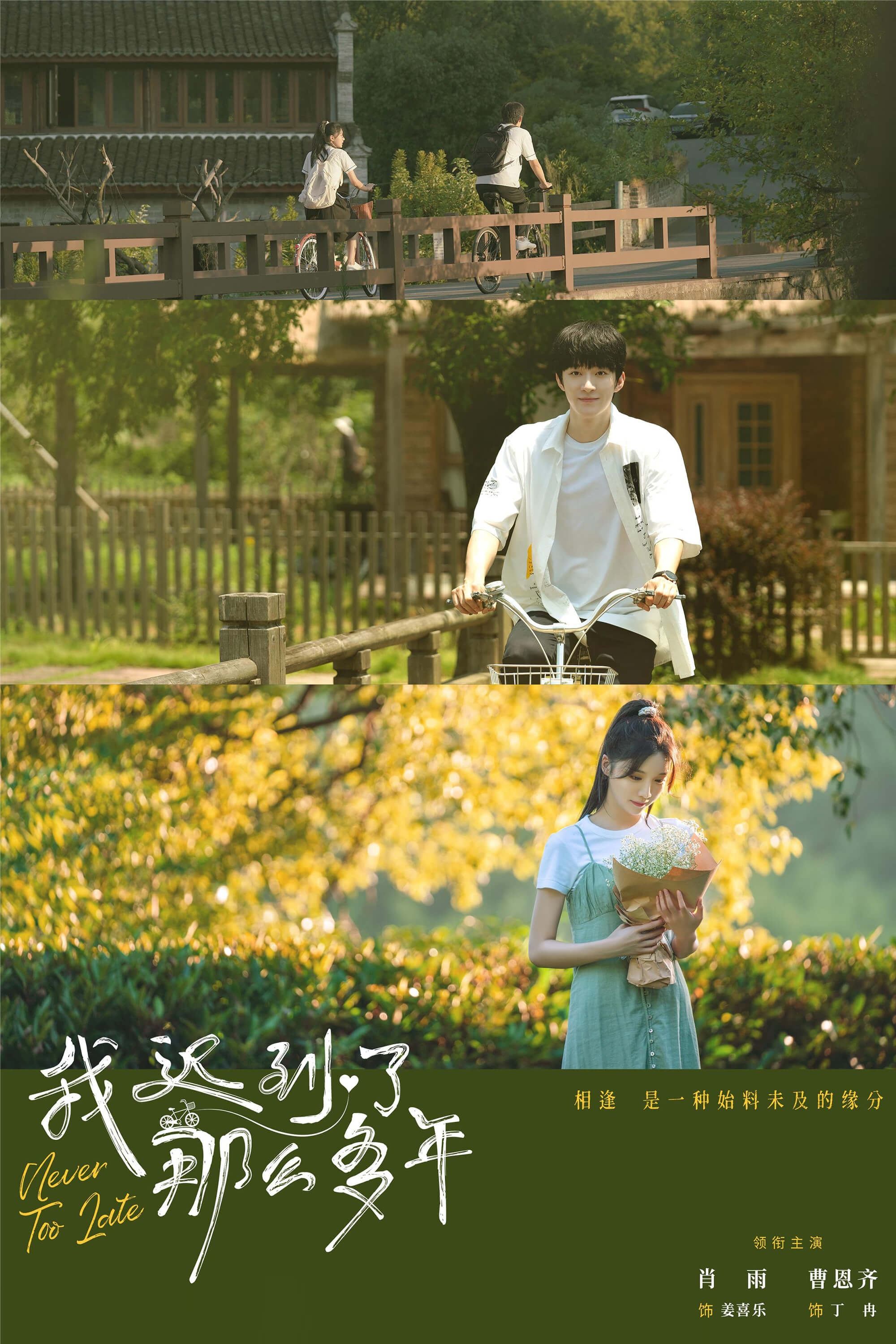 Poster de 我迟到了那么多年