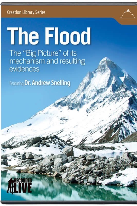 Poster de The Flood: The Big Picture of Its Mechanism and Resulting Evidences