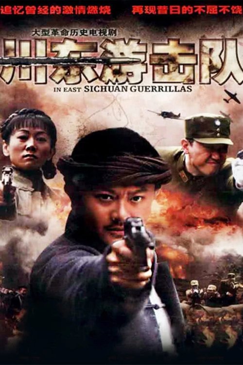 Poster de 川东游击队