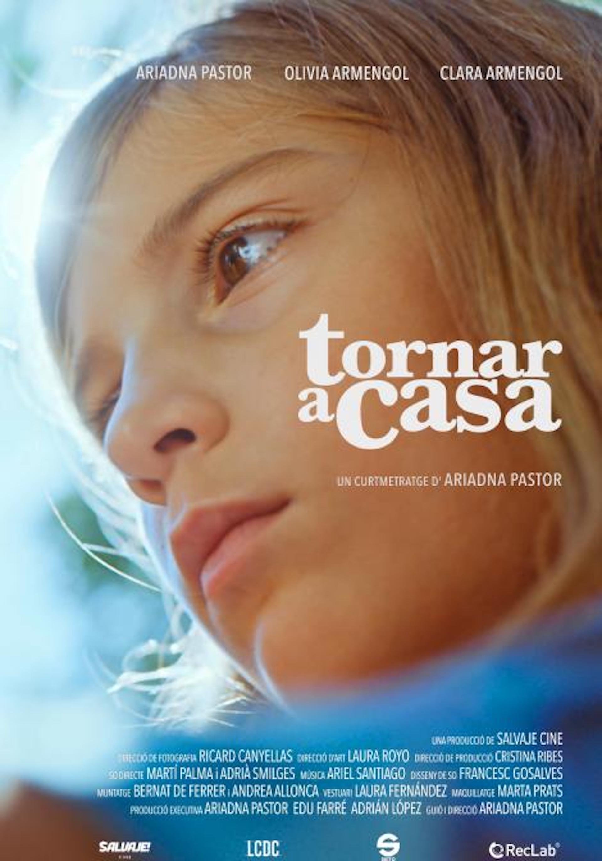 Poster de Tornar a casa