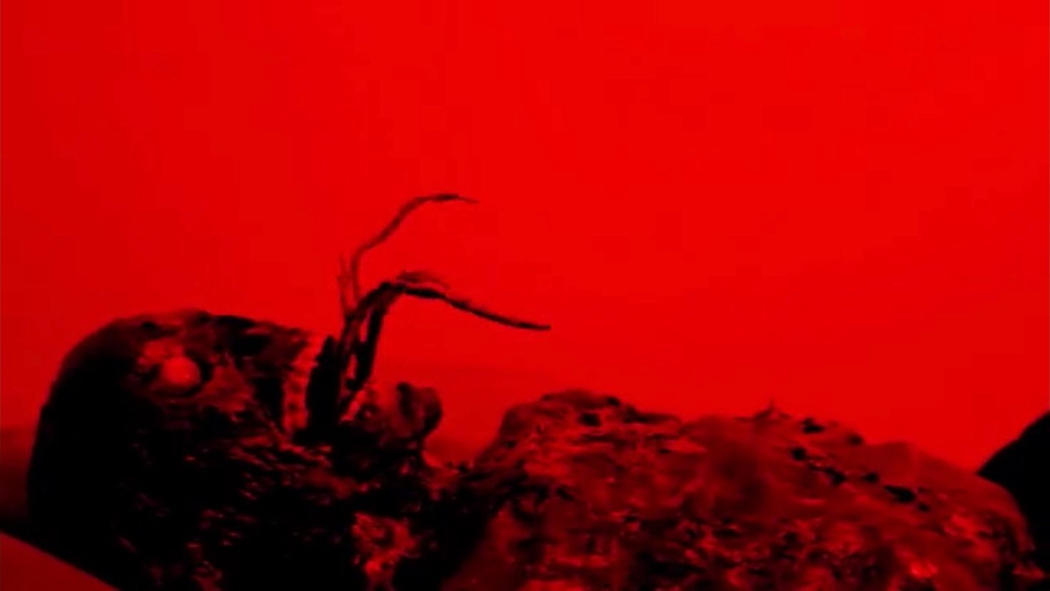 Backdrop image