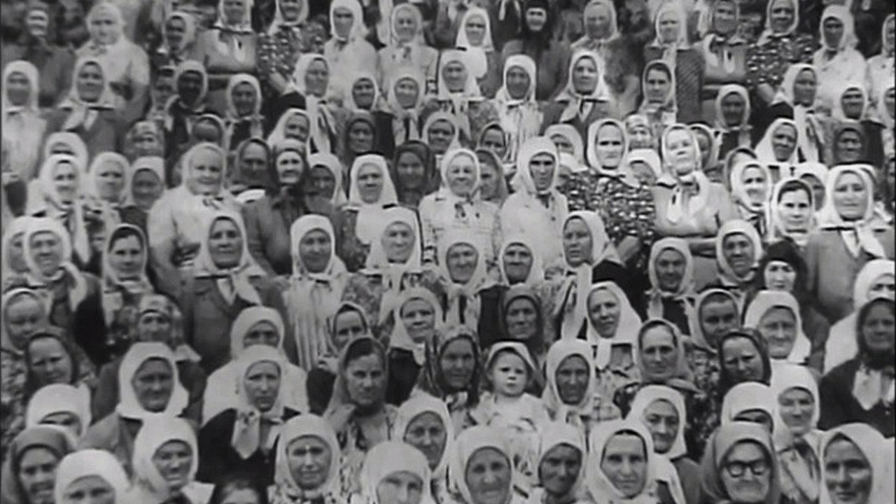 Soldier's Widows