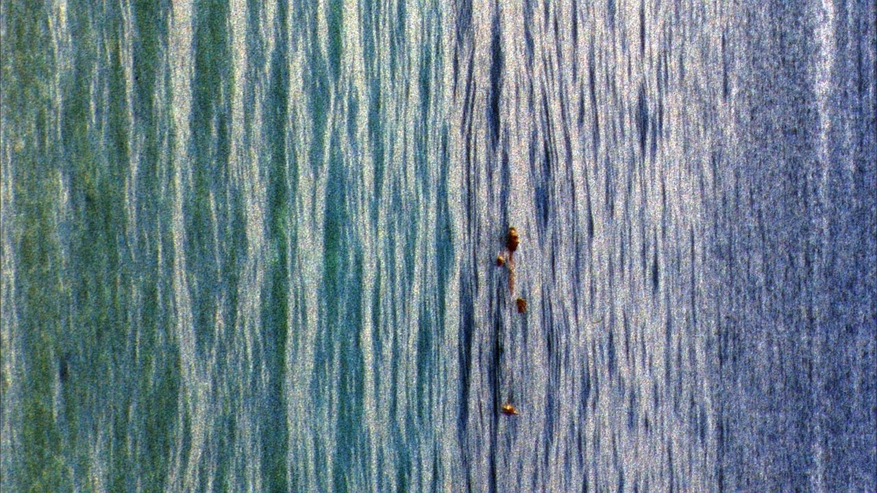 Backdrop