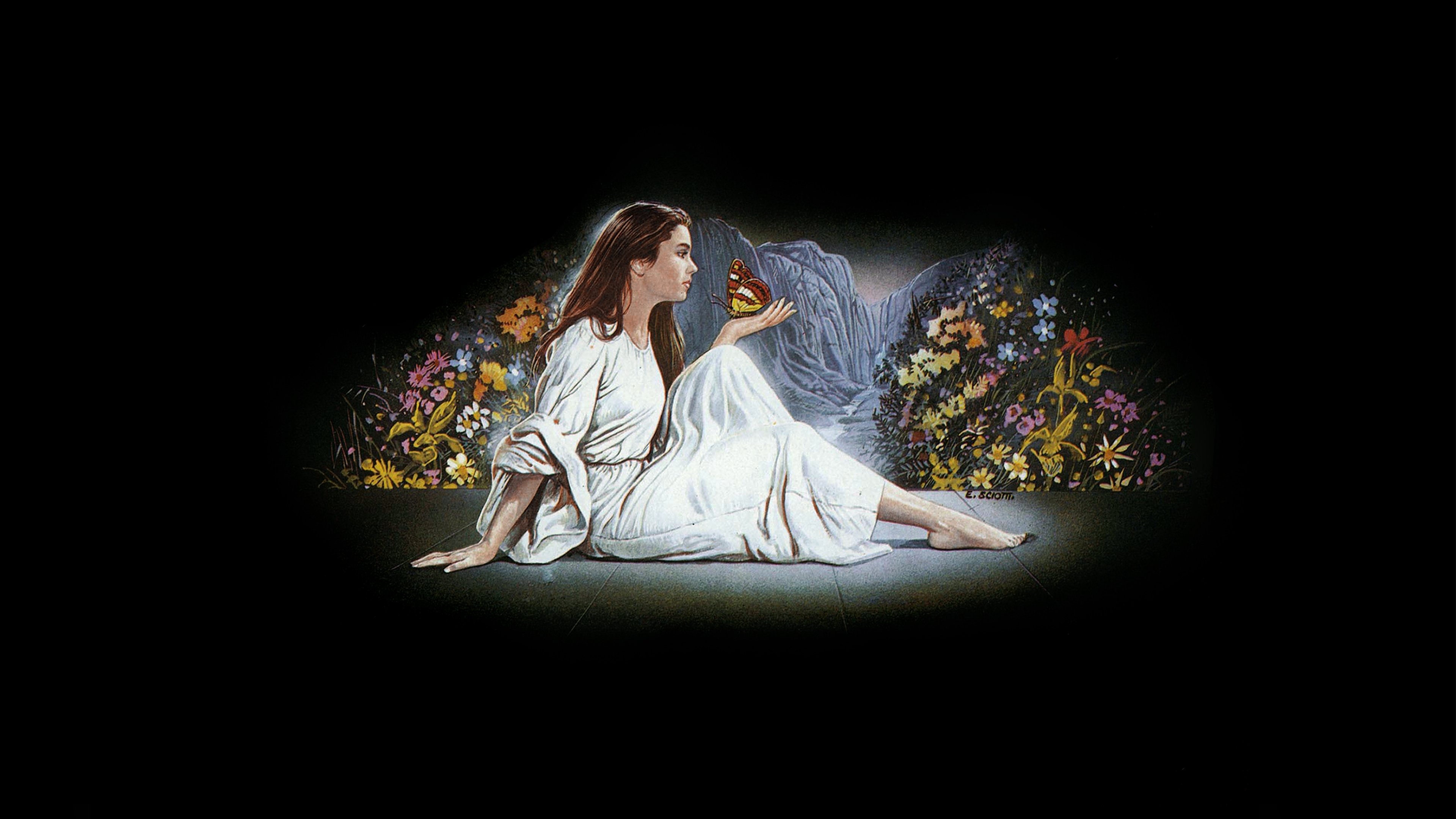 Phenomena