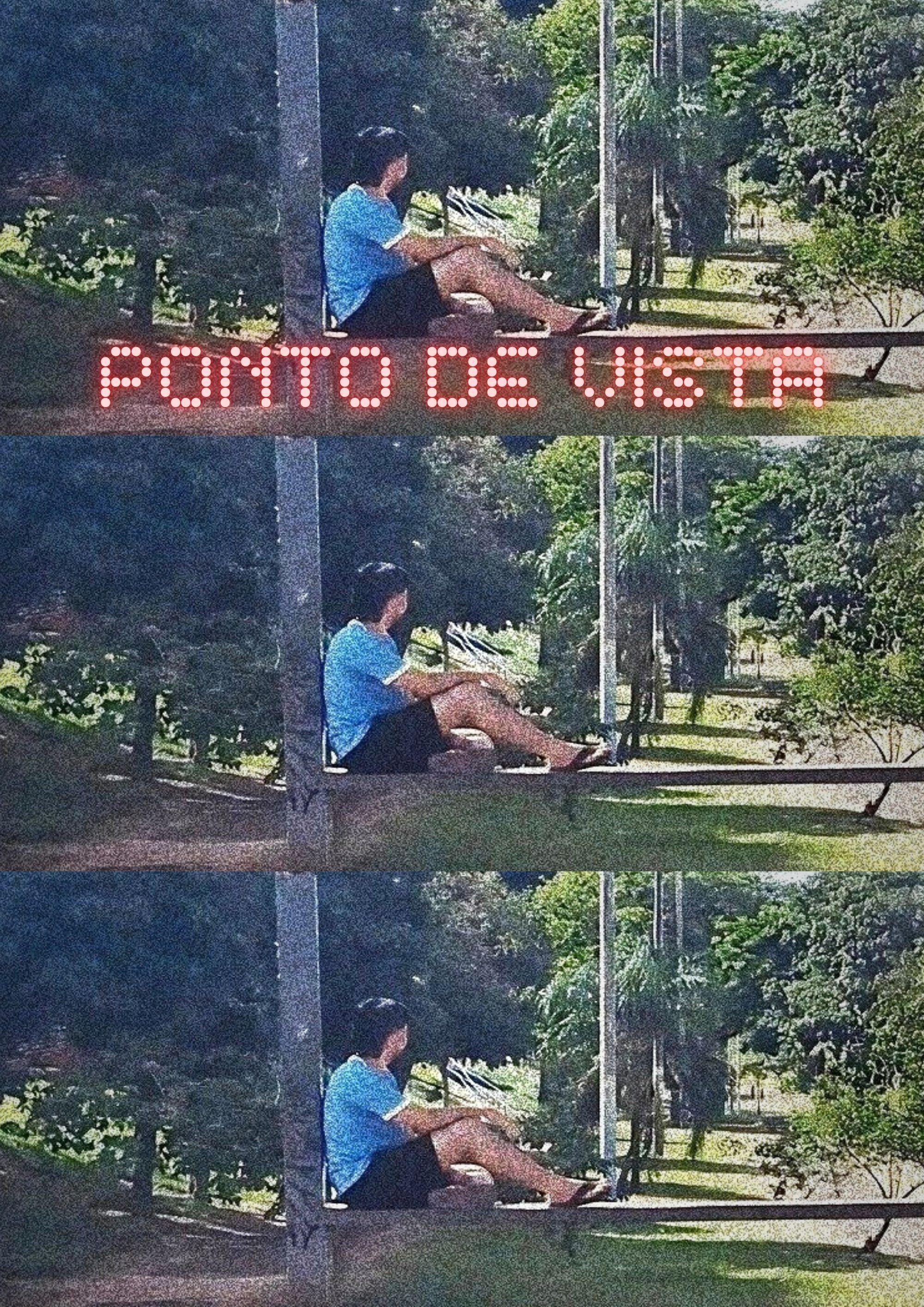 Poster de Point of View