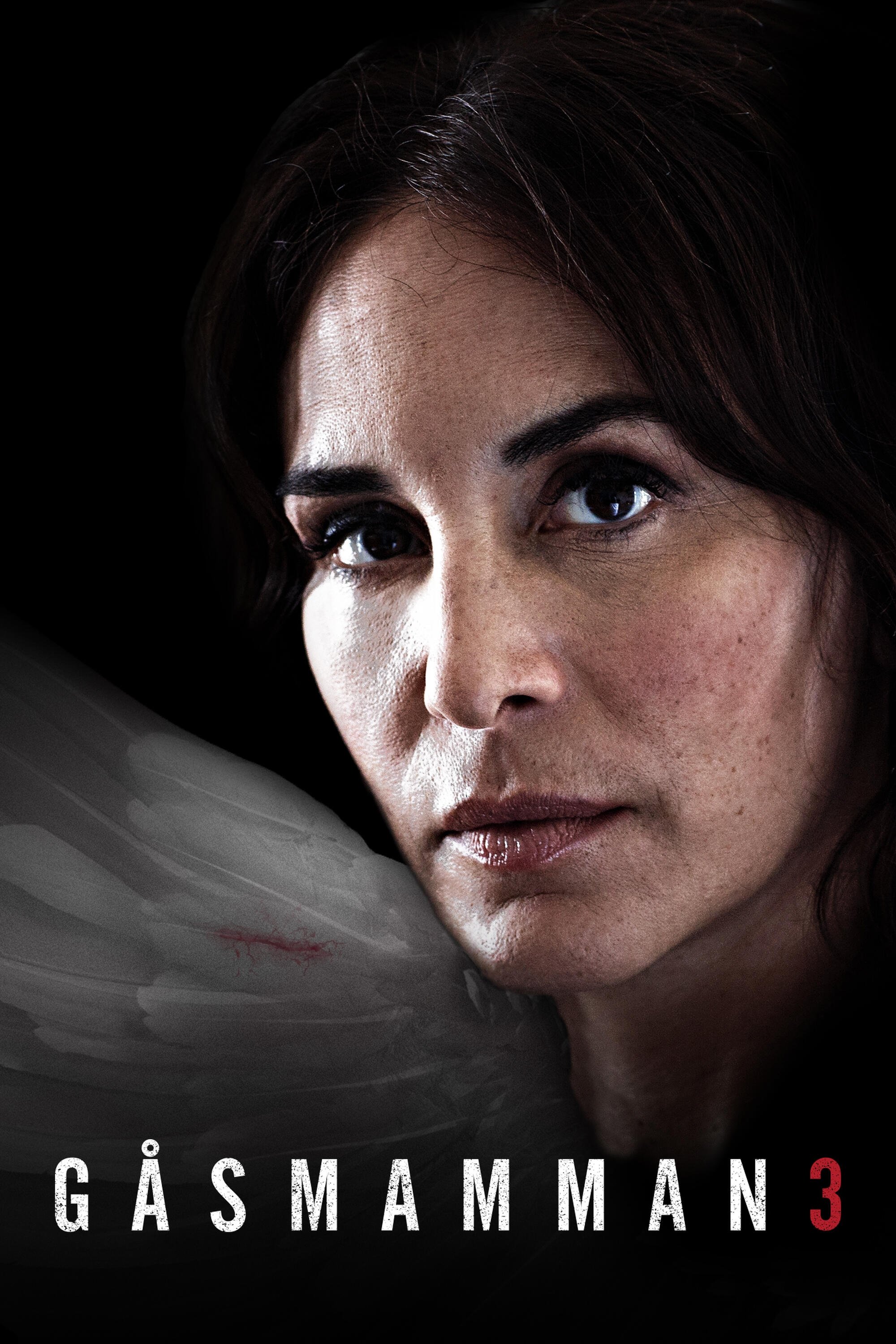 Poster de Temporada 3