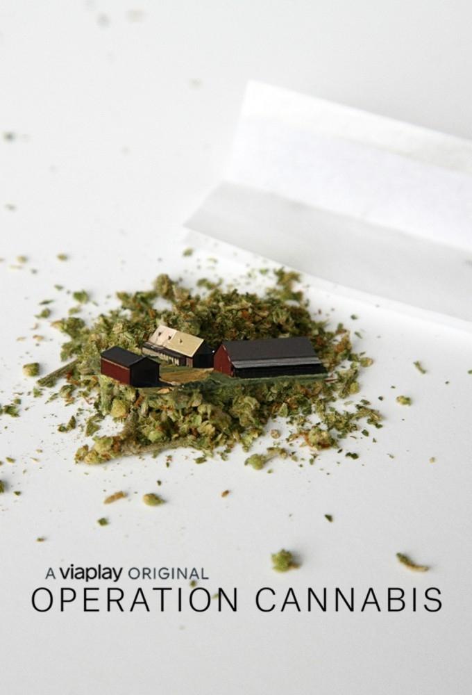 Poster de Operation Cannabis