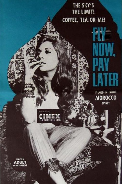 Poster de Fly Now, Pay Later