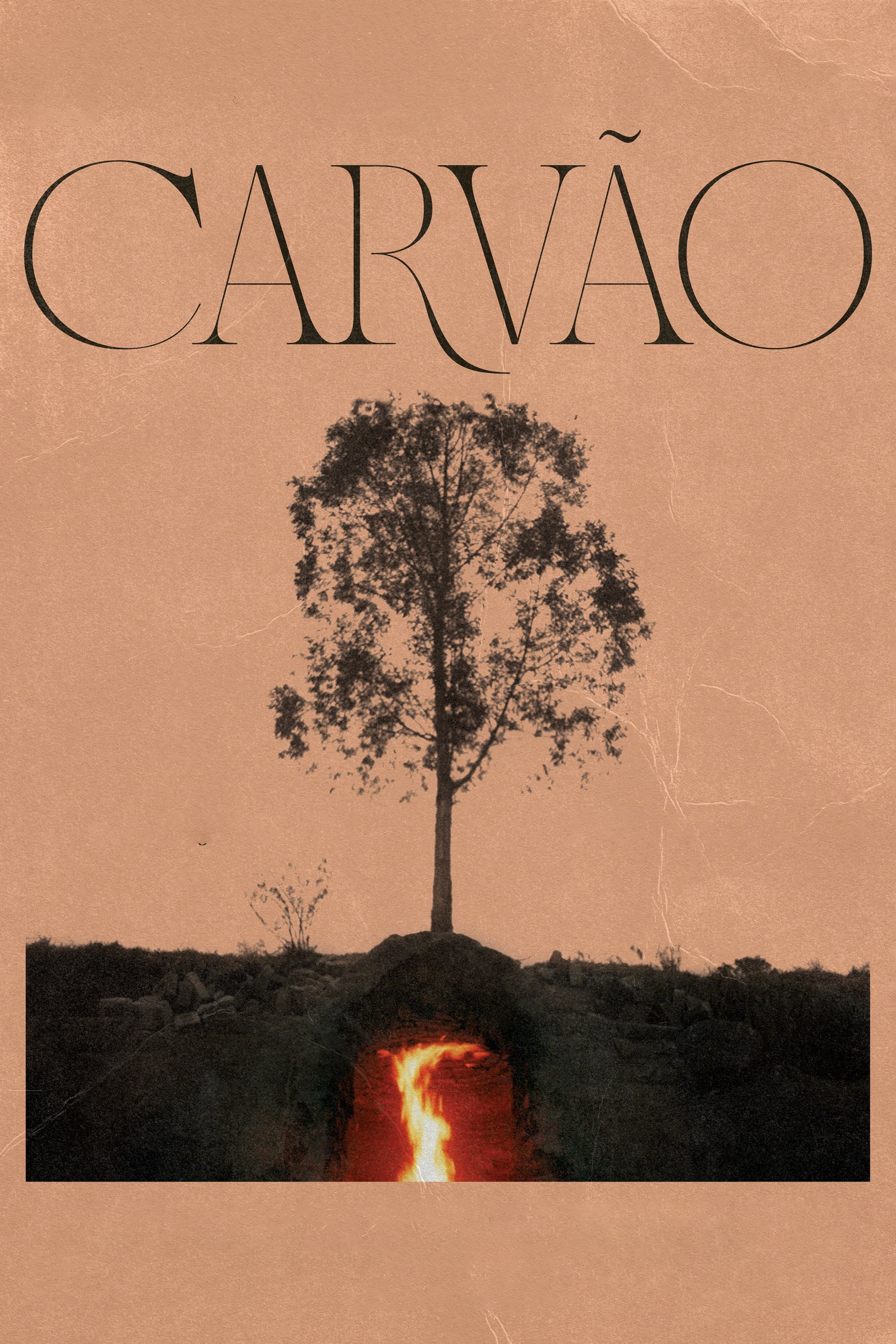 Poster de Carvão